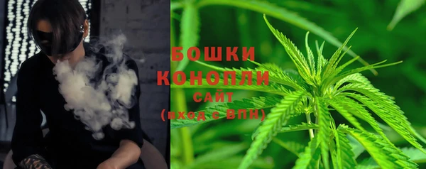 ГАЛЛЮЦИНОГЕННЫЕ ГРИБЫ Алзамай