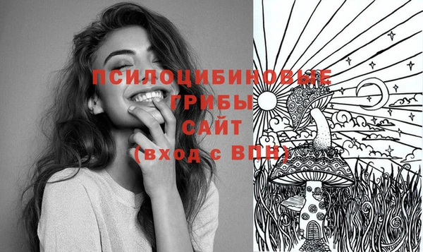 PSILOCYBIN Абдулино