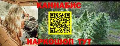 крисы Славянск-на-Кубани