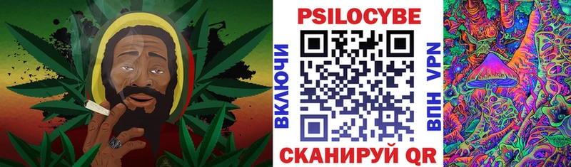 Псилоцибиновые грибы Psilocybine cubensis Нововоронеж