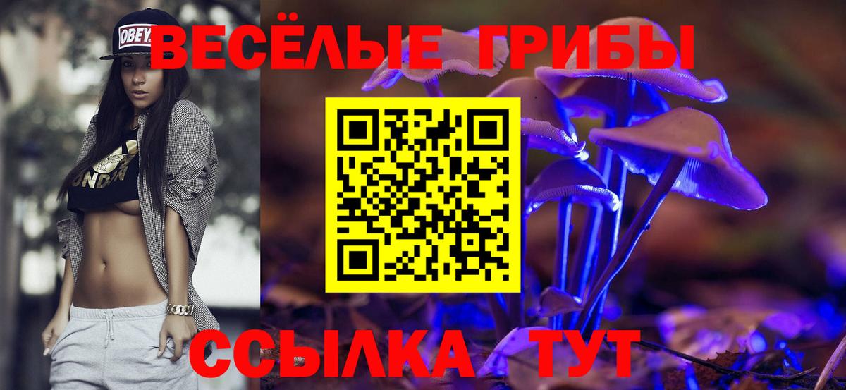 Нововоронеж  Псилоцибиновые грибы Magic Shrooms  Галлюциногенные грибы Magic Shrooms  Вход с VPN 